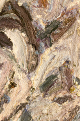 Abstract background of oil paint on canvas