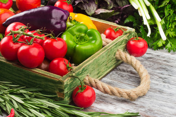 Set of raw vegetables in the wooden tray