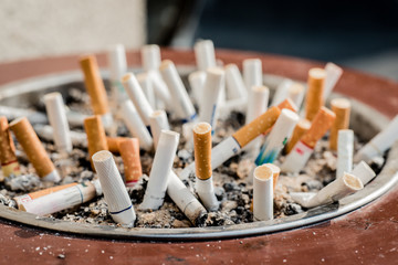 Smoking is addictive and many species of harmful organisms