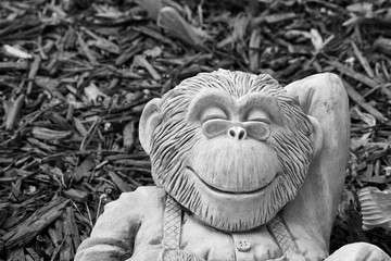 monkeying around