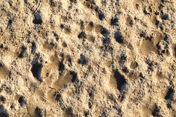 Sand in the desert as a background