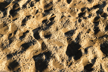 Sand in the desert as a background