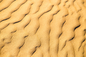 Sand in the desert as a background