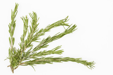 Rosemary sprigs