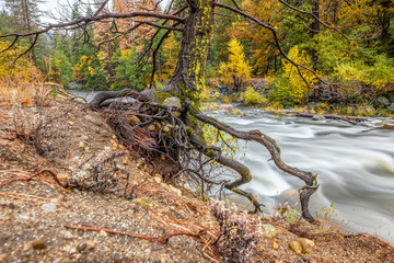 Fototapeta na wymiar Yosemite National Park Valley and Merced River at autumn