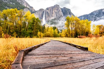 Foto op Aluminium Meadow with boardwalk in Yosemite National Park Valley at autumn © haveseen
