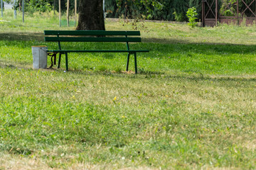 green bench in park. green grass around it