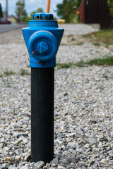 blue fireplug, hydrant next to the street