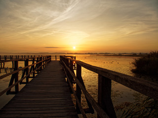 Fototapeta premium Steg bei Sonnenaufgang