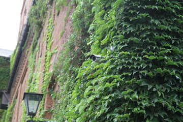 Rotating surveillance camera on brick wall