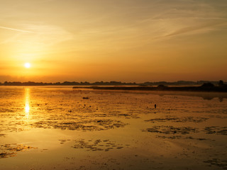 Sumpflandschaft bei Sonnenaufgang