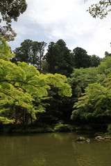 成田山公園の池