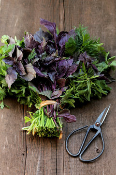 Bunch of fresh herbs (parsley, cilantro, dill, purple basil, savory)
