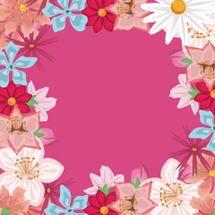 white background with decorative border with colorful flowers vector illustration