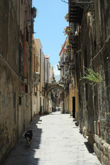 Fototapeta na wymiar Straße in Palermo