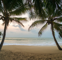 Obraz premium Sunset Beach with palm trees and beautiful sky.