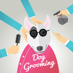 Bull terrier getting groomed at pet grooming salon.