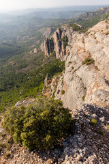 the Sainte-Victoire mountain, near Aix-en-Provence, which inspired the painter Paul Cézanne