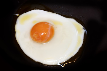 Fried egg