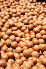 Macadamia Nuts in Guatemala