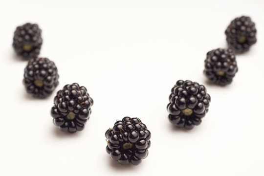 Blackberries on white background