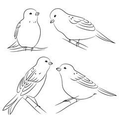 vector black white contour simple illustration of sparrow bird