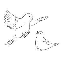 vector black white contour simple illustration of sparrow bird