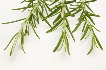 Rosemary on white background
