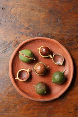 Macadamia Nuts in Guatemala