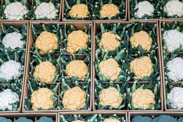 Line of cauliflowers on store at market. Fresh vegetables in the offers on shop.