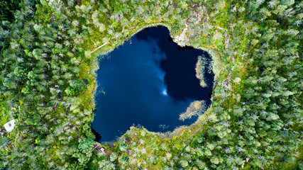 Aerial view of a forest lake