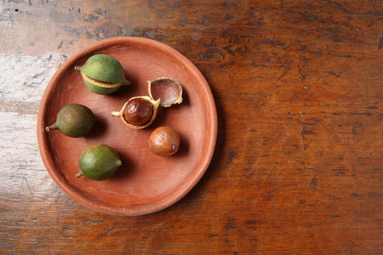 Macadamia Nuts in Guatemala