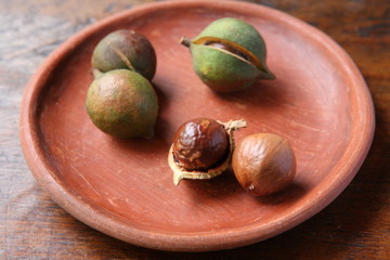 Macadamia Nuts in Guatemala