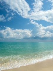 Fototapeta premium Island beach in indian ocean