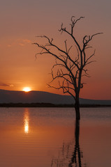 Fototapeta na wymiar Tanzania lake sunset