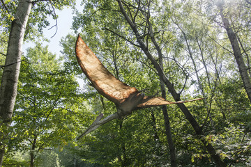 Pteranodon - flying lizard in the woods. © lapis2380