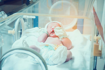 Newborn baby girl inside incubator in hospital post delivery room - obrazy, fototapety, plakaty