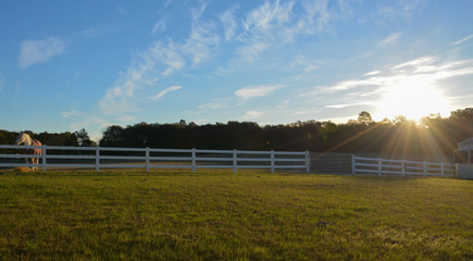 Sunrise with the Horses