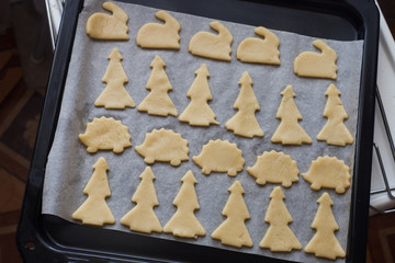 Raw cookies in autumn forest concept