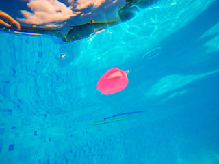 Generic rubber fish toy in swimming pool, underwater view