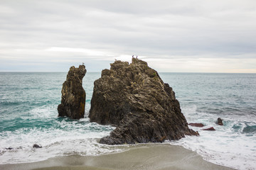 Rock formation with bird in the Tyrrhenian Sea