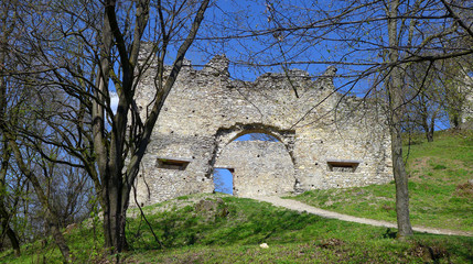 Ruins of Brekov Castle, Slovakia