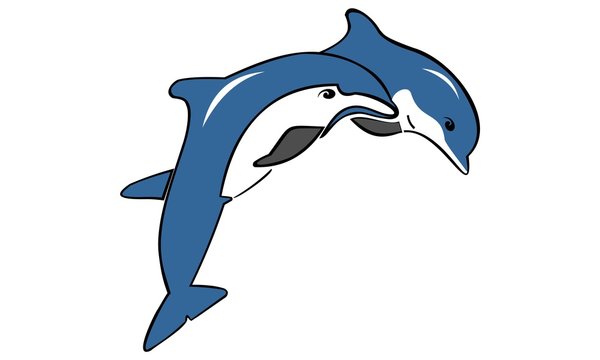 the dolphin logo jumps