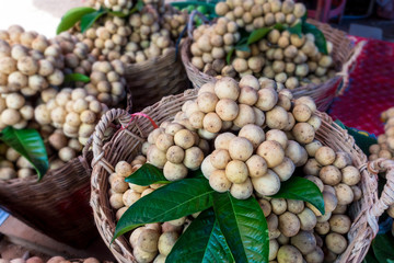 southern langsat in the big basket