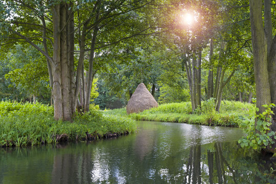Kahnfahrt im Spreewald