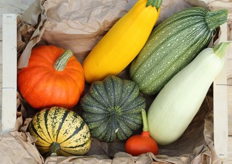 Squash and pumpkins.