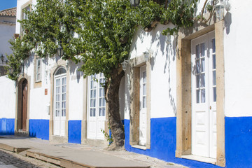 Fototapeta na wymiar Maisons portugaises