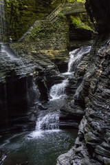 Watkins Glen