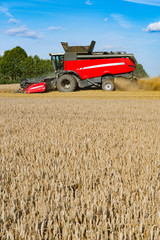 Obraz premium Combine harvester on the grain field - 6717