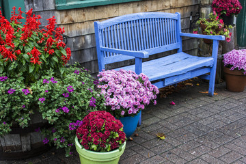 Gartenbank in einem Park von Bar Harbor in den USA.